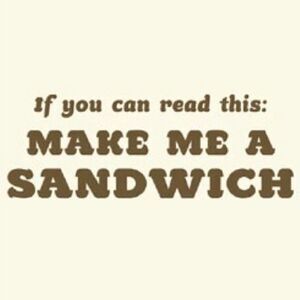 THREADLESS GEEKY HUMOR TEE IF YOU CAN READ THIS MAKE ME A SANDWICH L